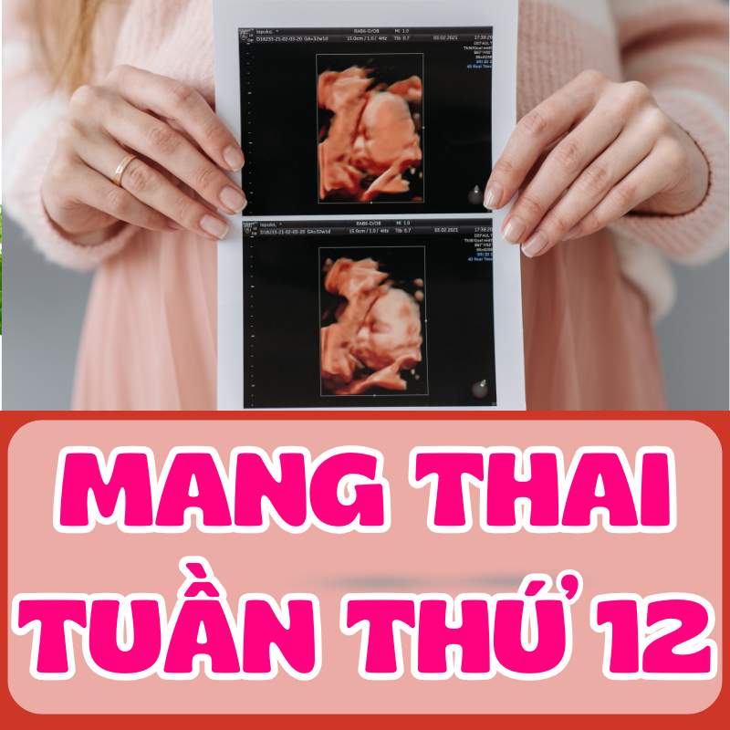 Mang thai tuần thứ 12 và những thay đổi của mẹ bầu